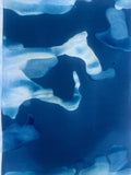 Caballo de mar