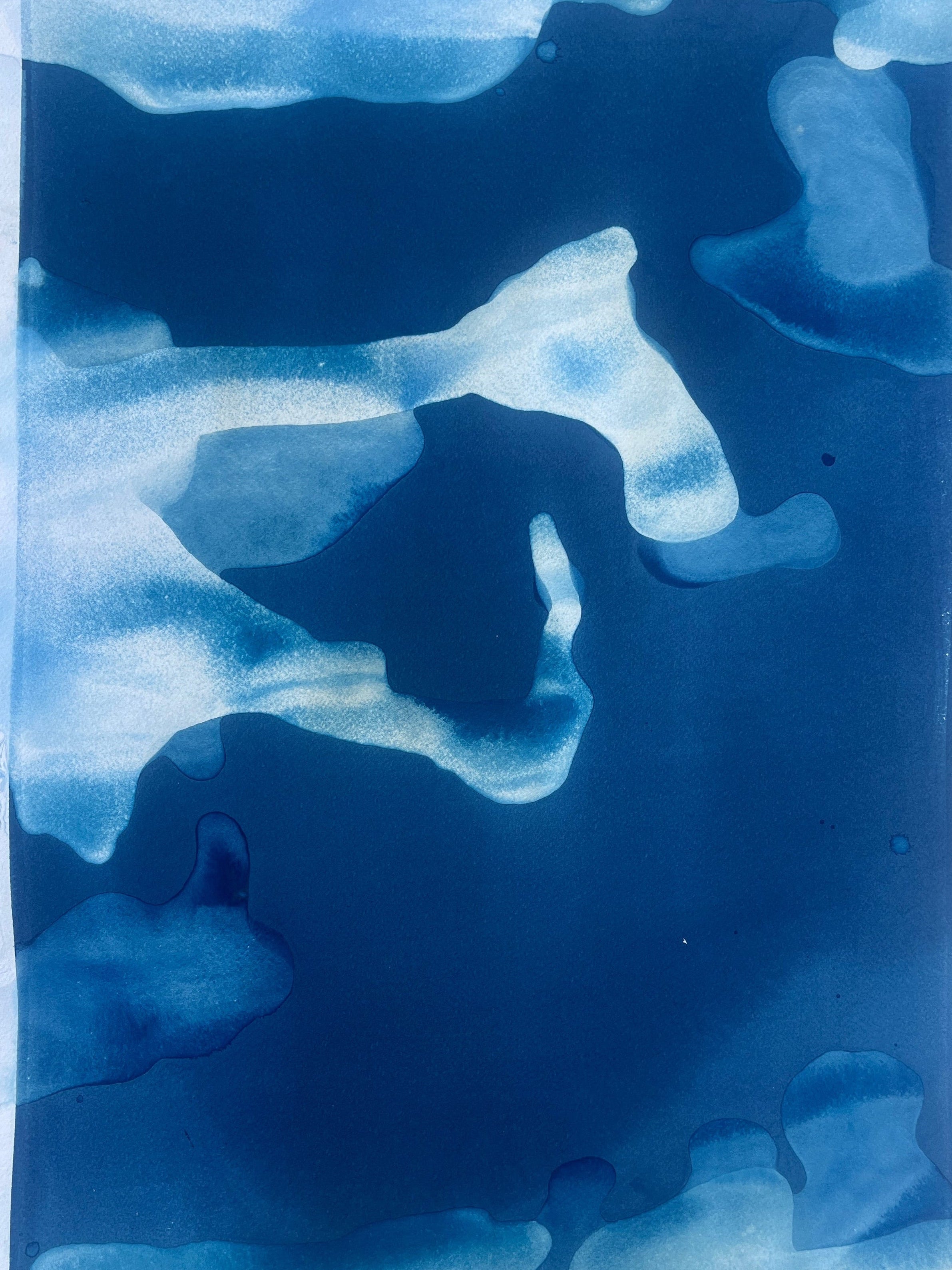Caballo de mar