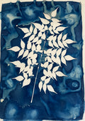Neem